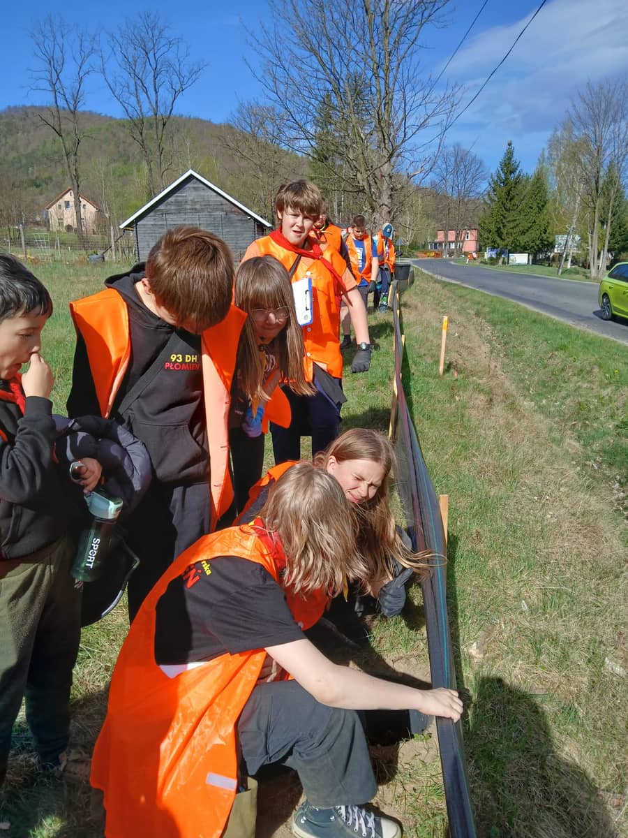 Sobieszów: Ratują żaby, chronią naturę. Rusza wiosenna Akcja Żaba