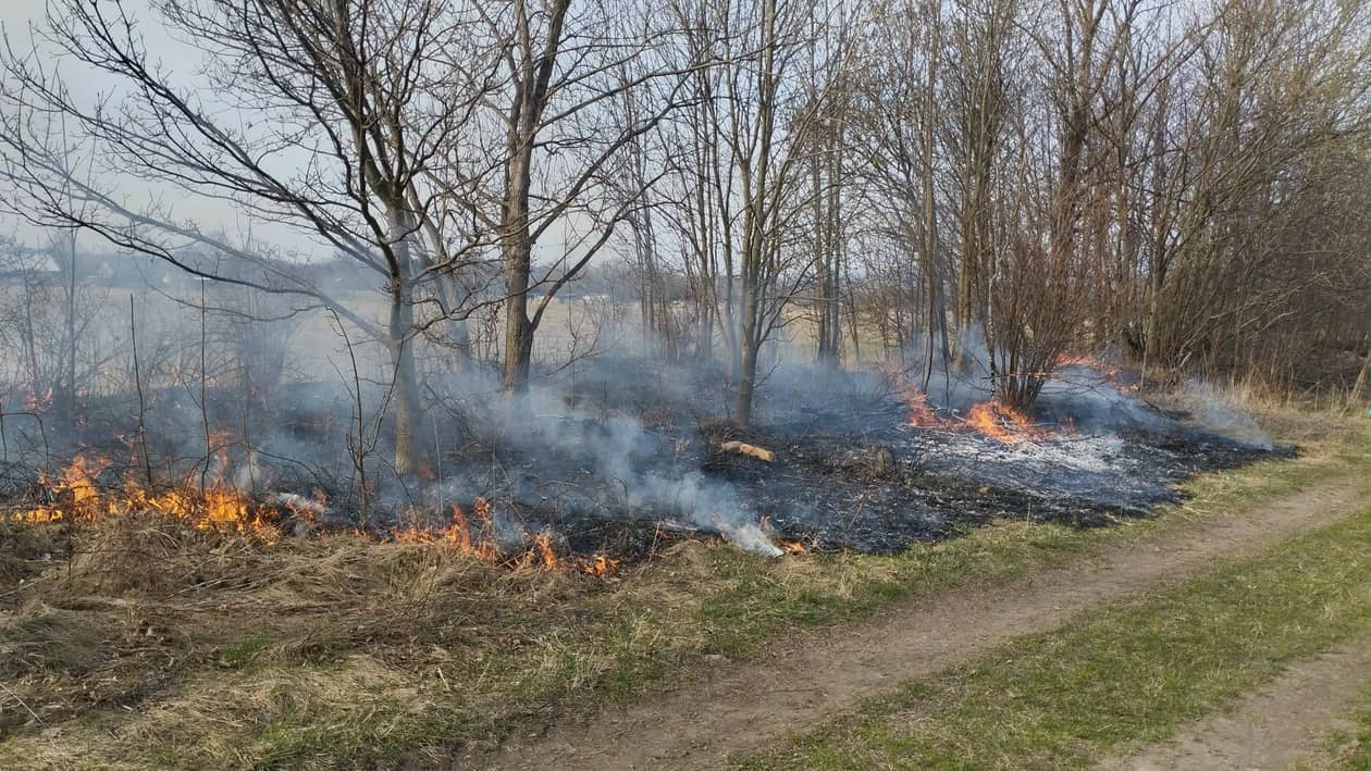 Ścięgny: Pożar trawy w Ścięgnach