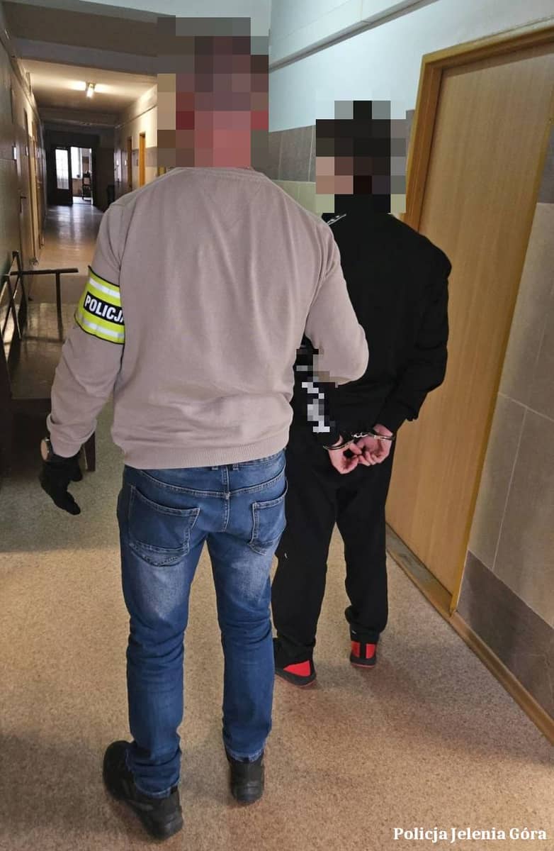 Jelenia Góra: Wynajmował apartamenty i okradał