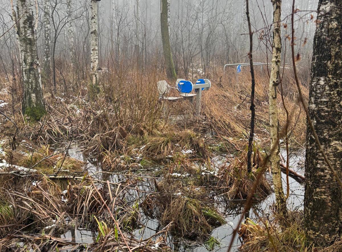 Polska: Absurd goni absurd – wygrywa siłownia dla bobrów