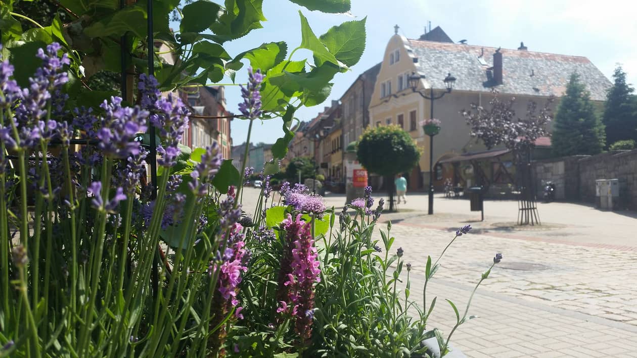 Kowary: Setki tysięcy na zieleń