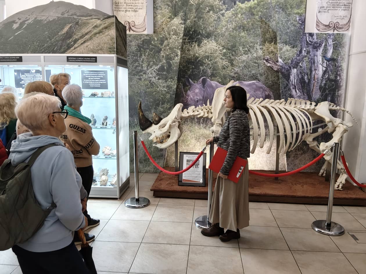 Jelenia Góra: Spacer do Muzeum Przyrodniczego