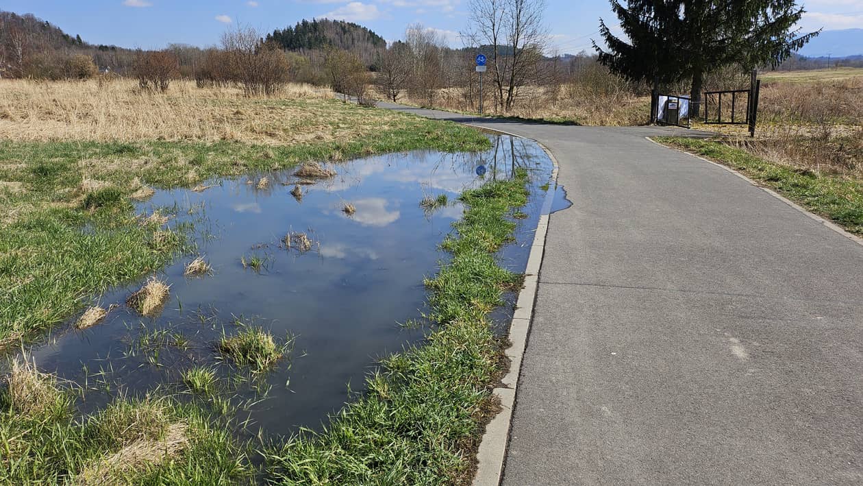 Jelenia Góra: Jeziorko przy ścieżce rowerowej