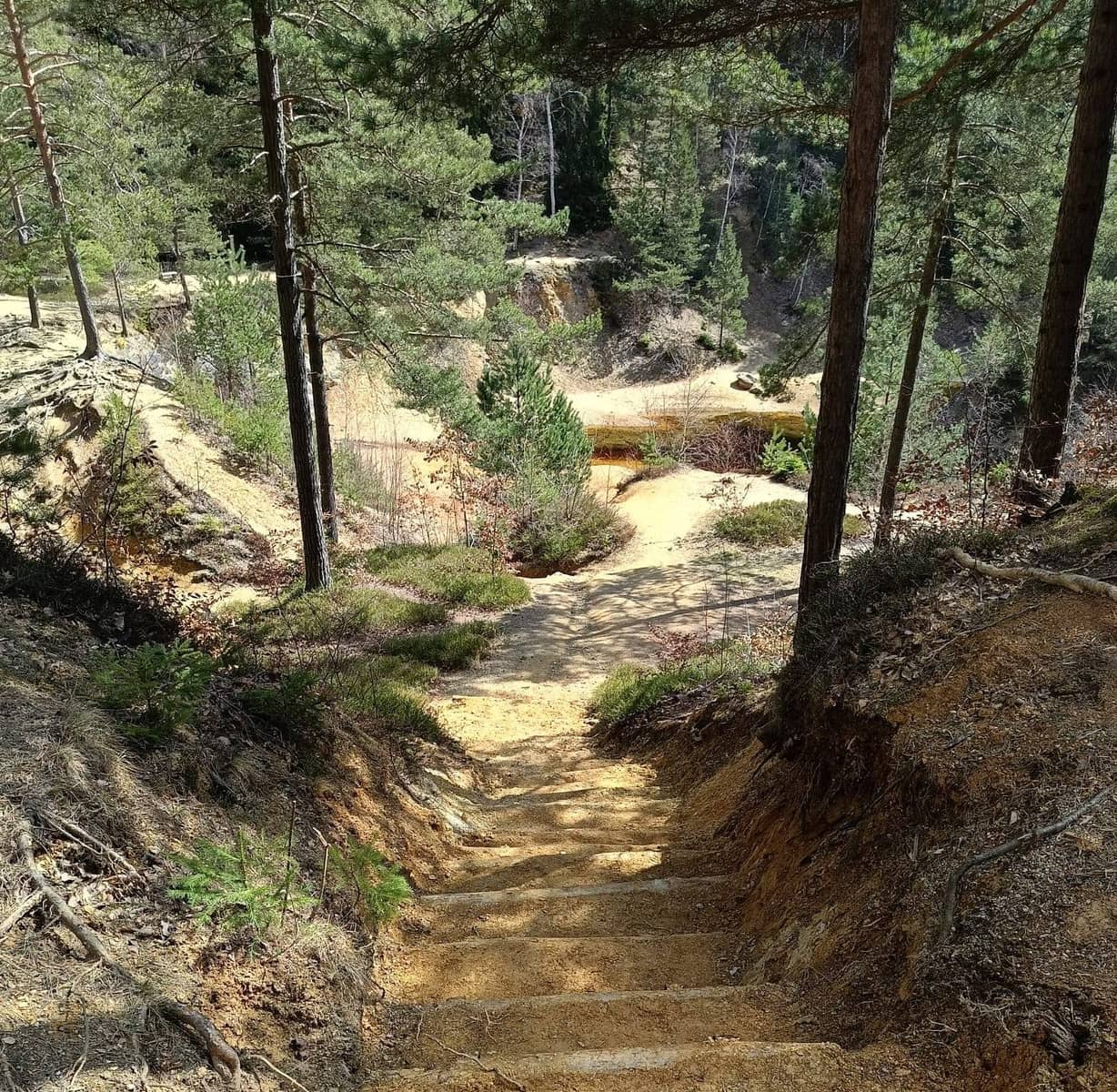 Jelenia Góra: O sprzedaży „Blaszaka”, rewitalizacji Flory i rocznicy katastrofy smoleńskiej