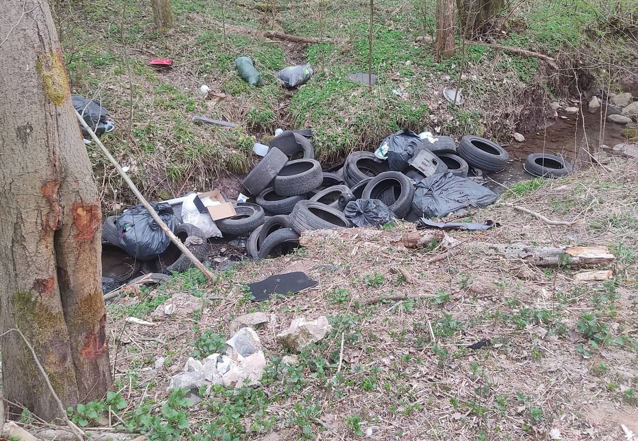 Dolny Śląsk: Wstrętny śmieciarz uderzył ponownie