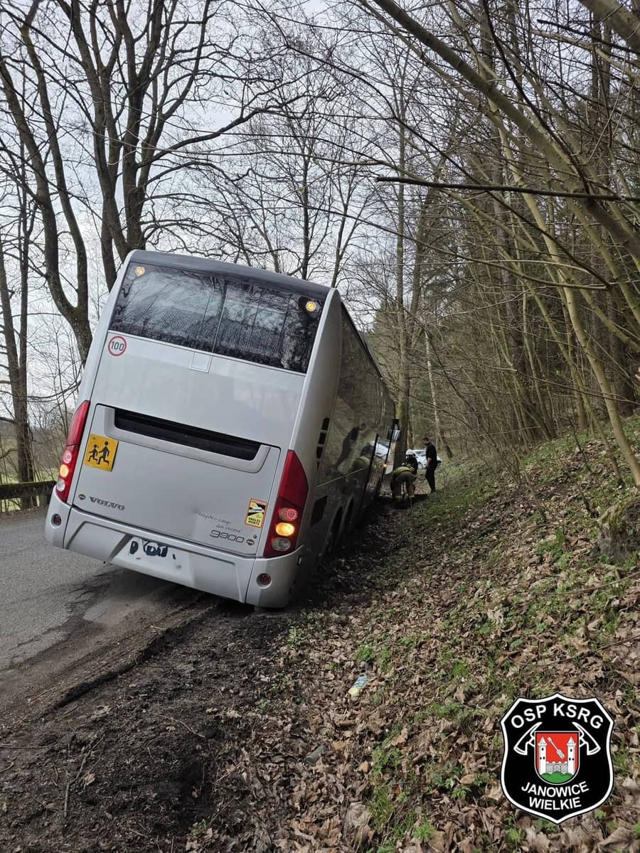 Janowice Wielkie: Autobus z dziećmi w rowie