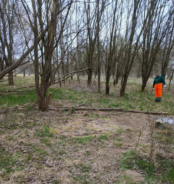 Jelenia Góra: Koniec dzikiego koczowiska