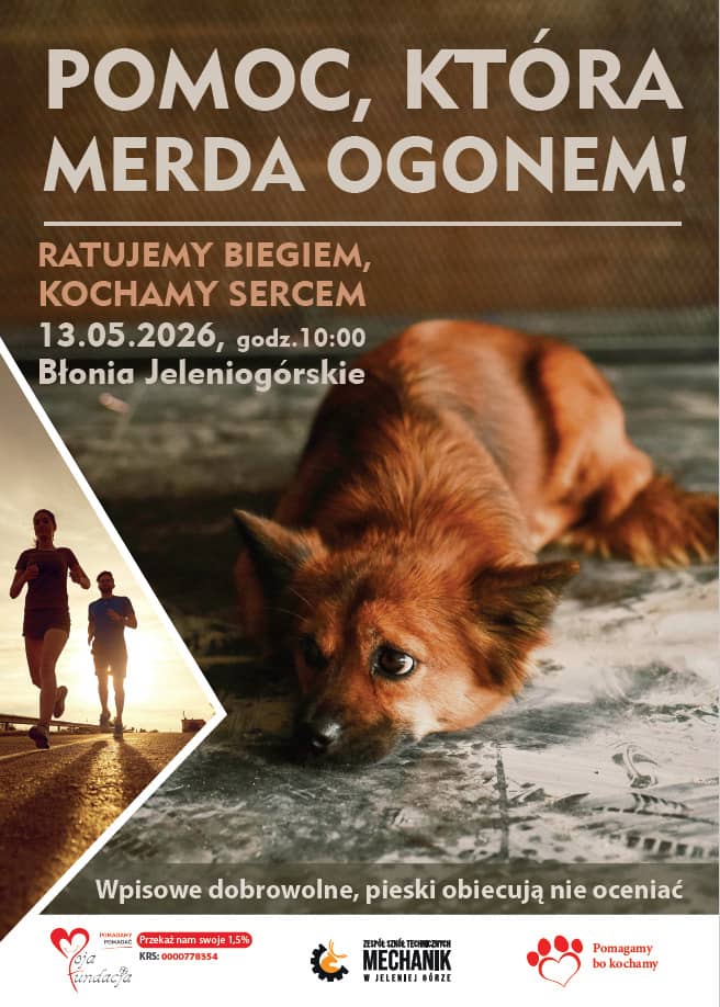 Jelenia Góra: Bieg dla 4 Łap na Błoniach Jeleniogórskich