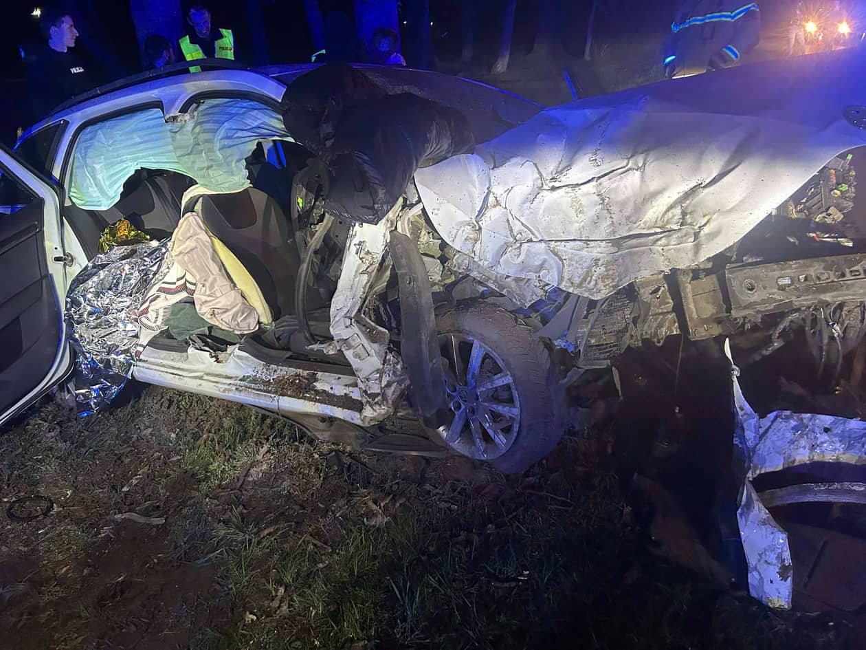 Dolny Śląsk: Dramatyczny pościg: radiowozy rozbite, finał na drzewie