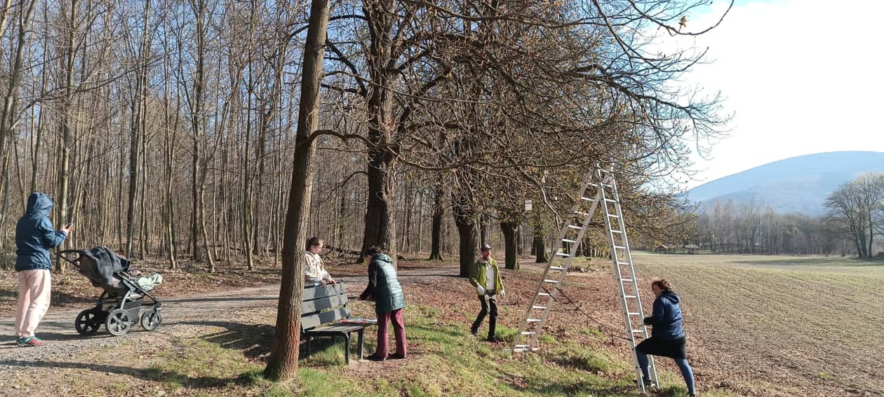 Kowary: Walczą ze szkodnikami