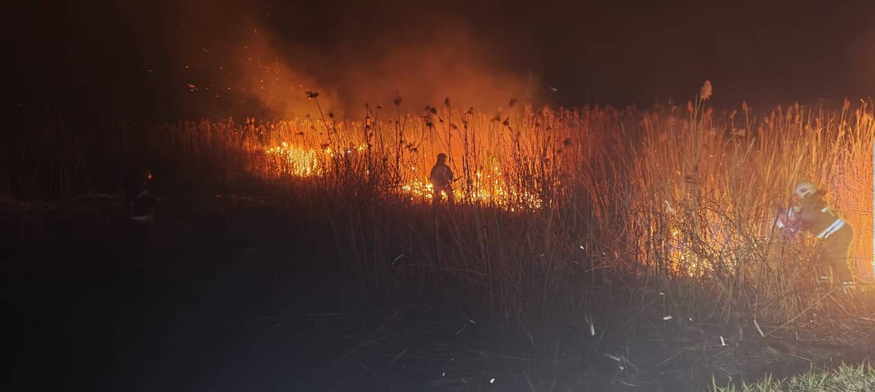 Dolny Śląsk: Brutalne statystyki. Już 70 pożarów lasów w tym roku