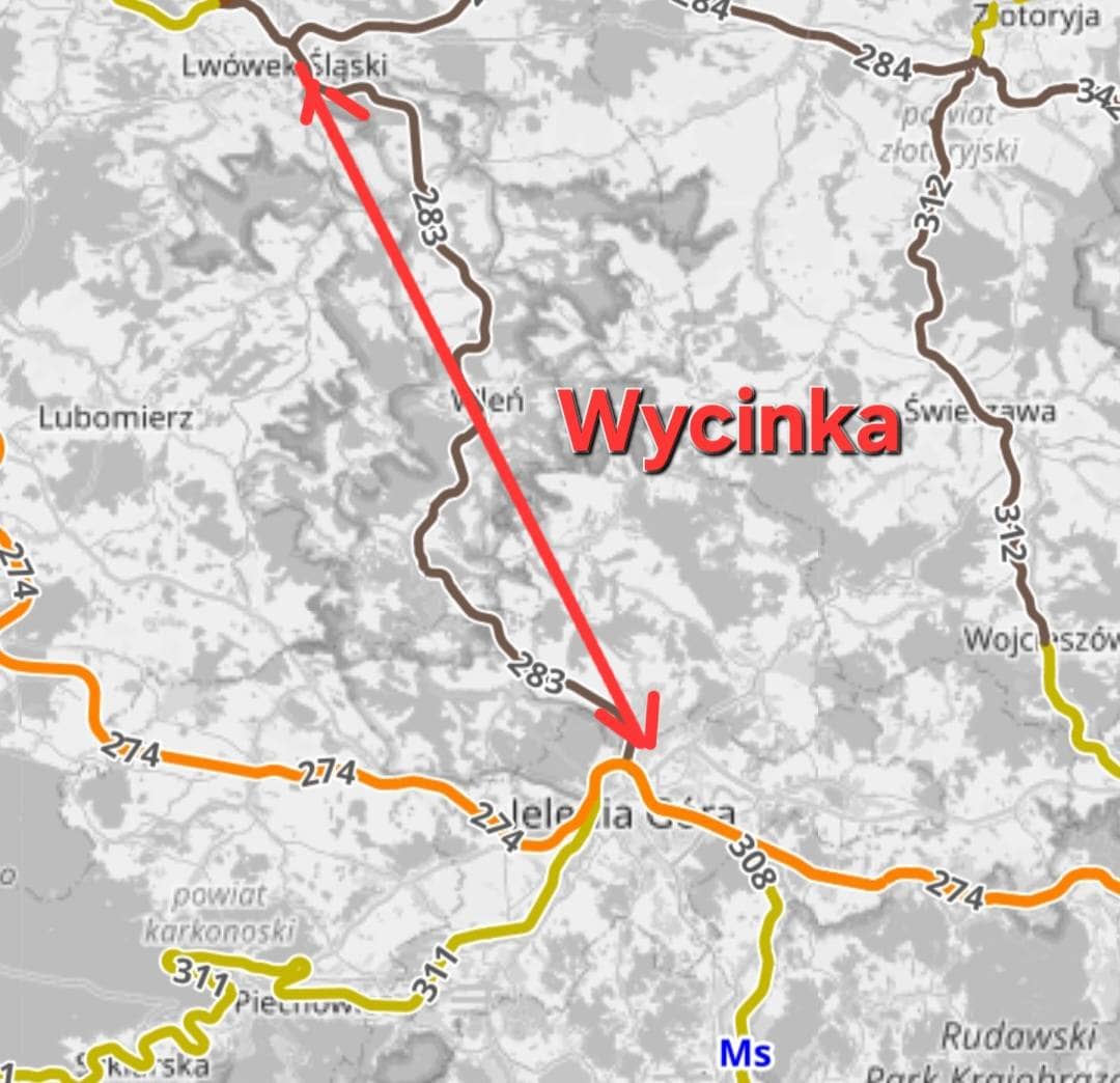 Dolny Śląsk: Wycinka pod kolej