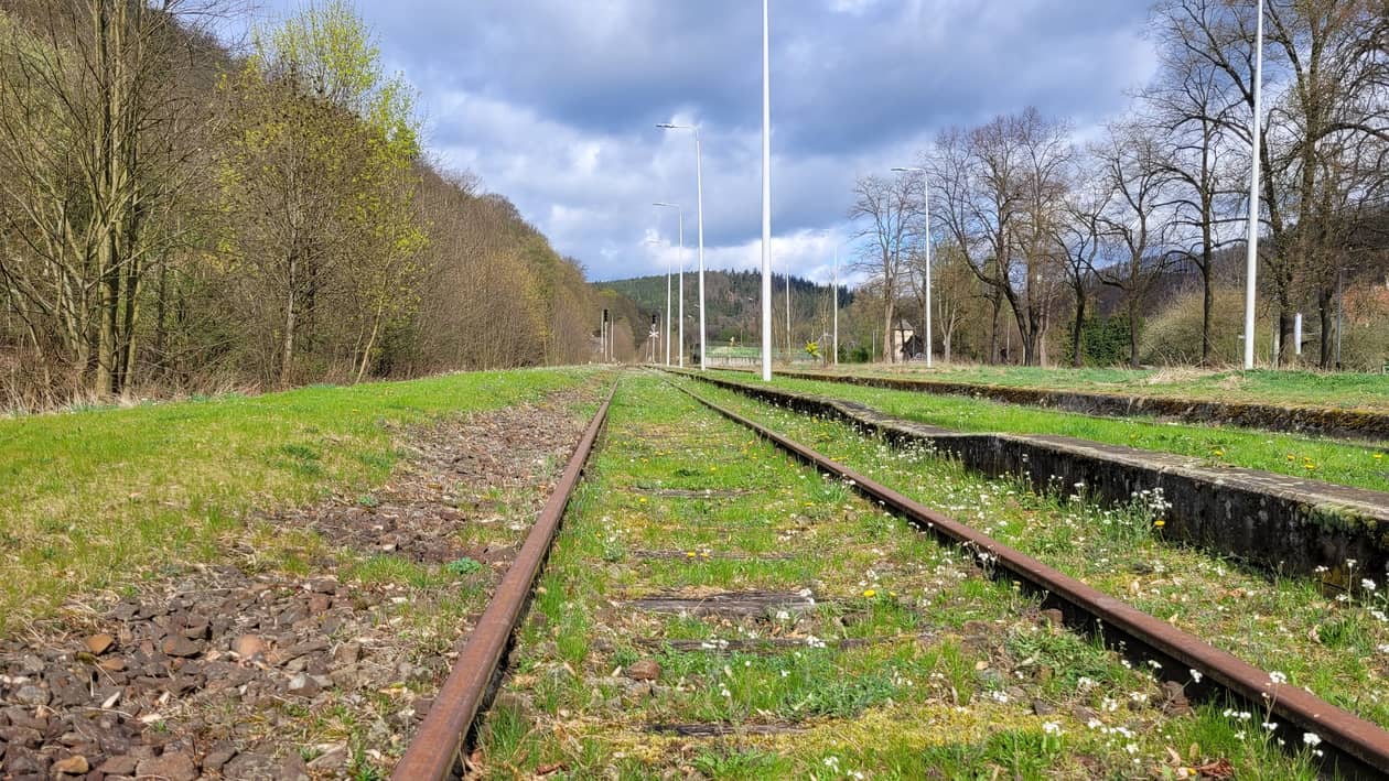 Jelenia Góra: Wycinka pod tory – kurs na rewitalizację linii