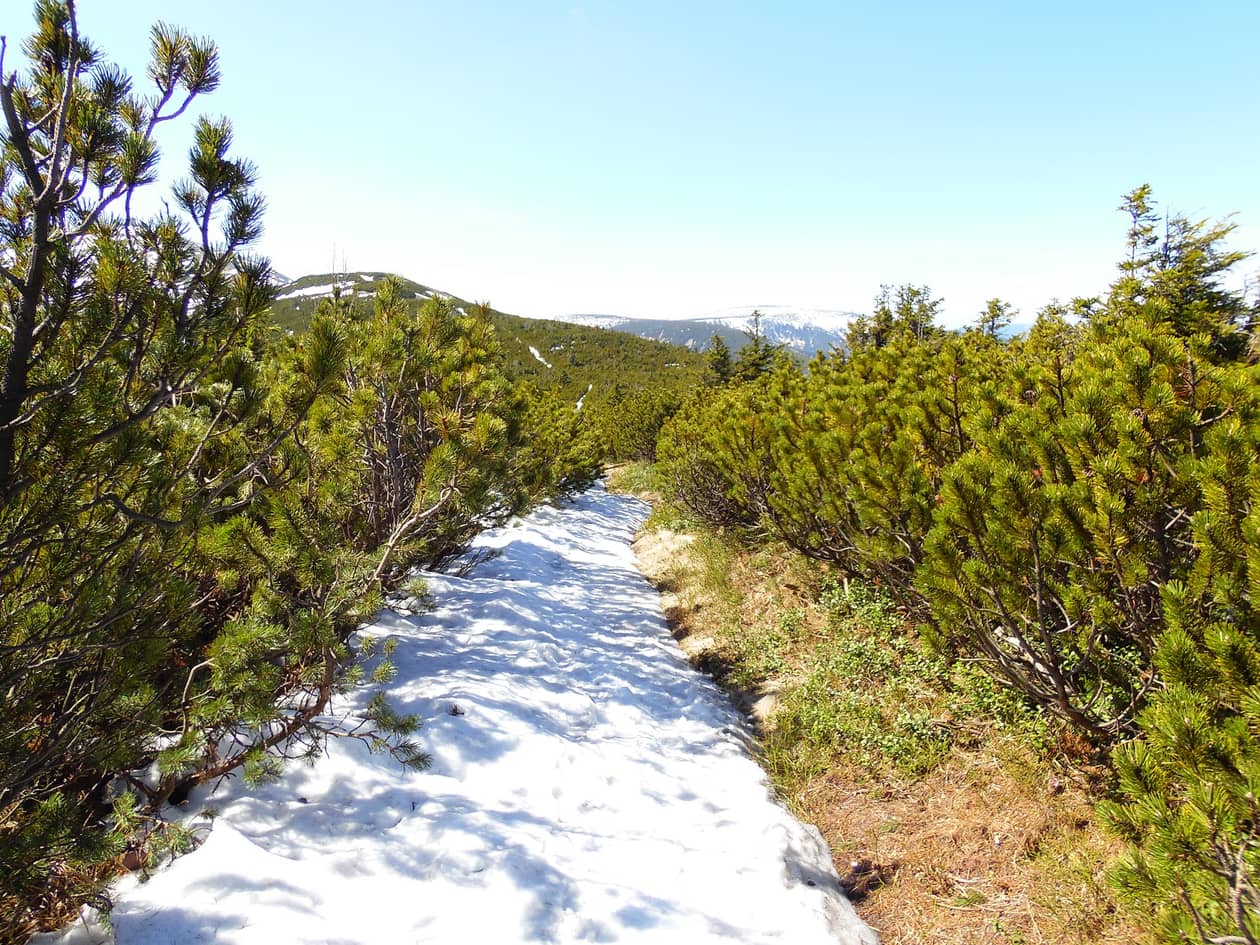 Karkonosze: Prawie maj, a w Karkonoszach cały czas śnieg