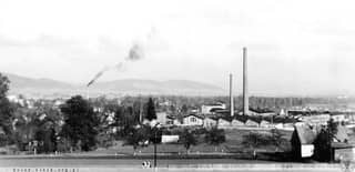 Dlaczego upadła Karelma w Piechowicach?