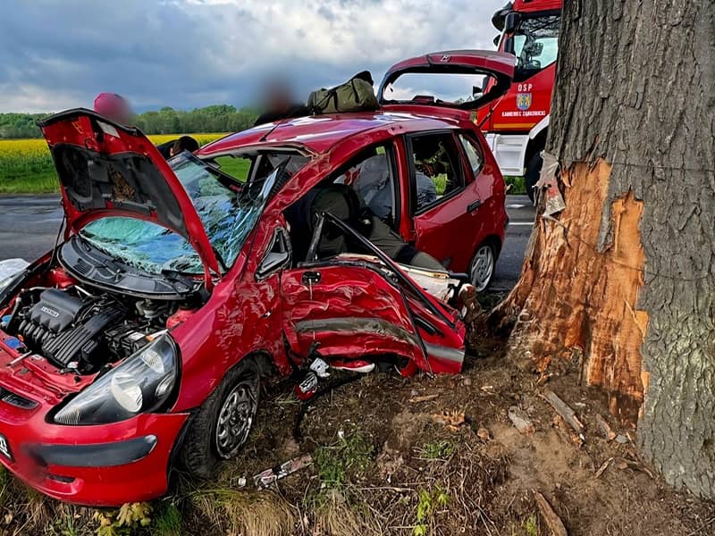 Dolny Śląsk: Najpierw mandat, a kilka minut później mocny "dzwon" w drzewo