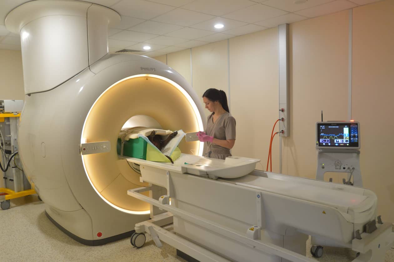 Dolny Śląsk: Rezonans dla węża domowego już możliwy