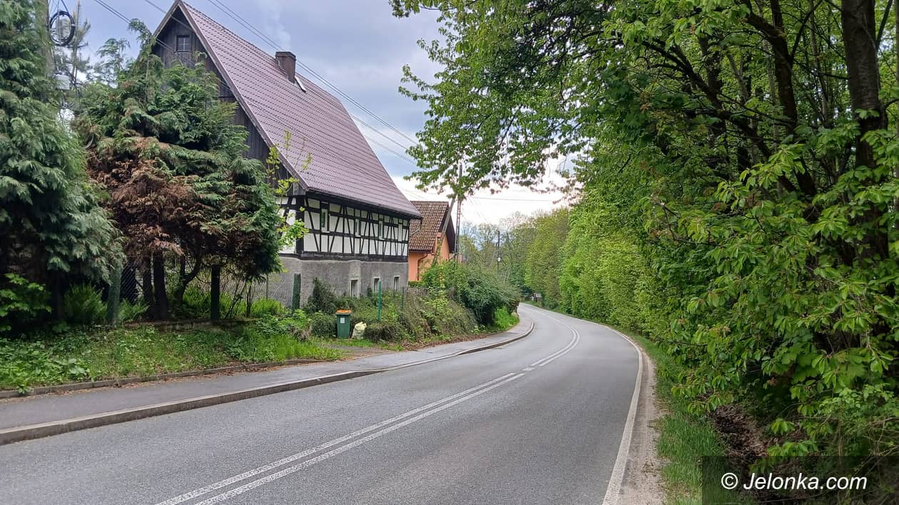 Jeżów Sudecki: Wytną zanim zarośnie