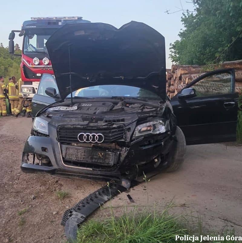Jelenia Góra: Uciekał przed policją i wylądował na drzewie