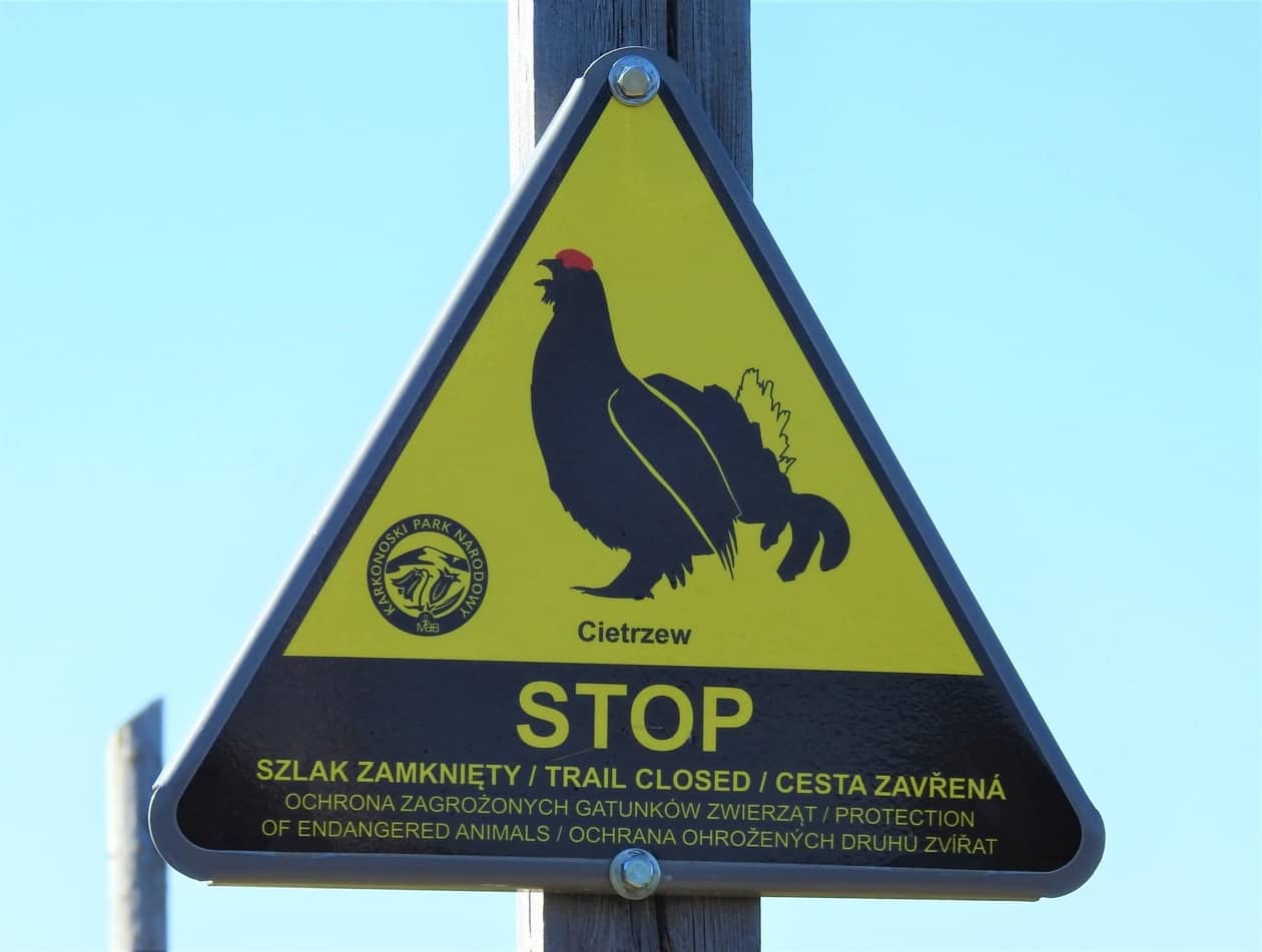 Karkonosze: Otwierają kolejne szlaki turystyczne