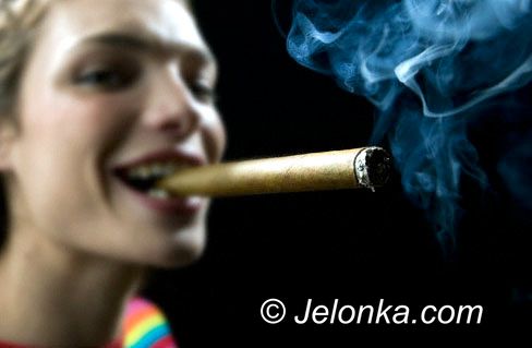 JELENIA GÓRA/ KRAJ: Bardzo grzeczna młodzież
