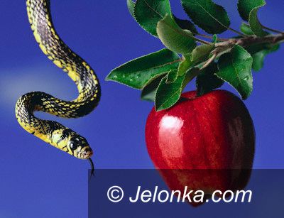 JELENIA GÓRA: Grzechy drogowców – riposta