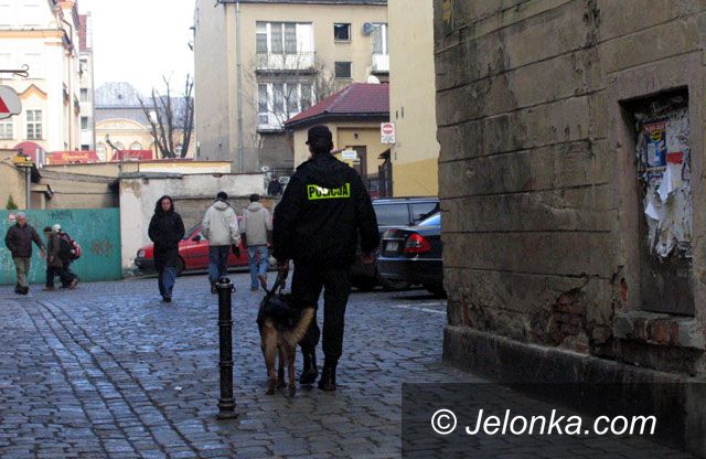 JELENIA GÓRA: Postrach na chuliganów i wandali