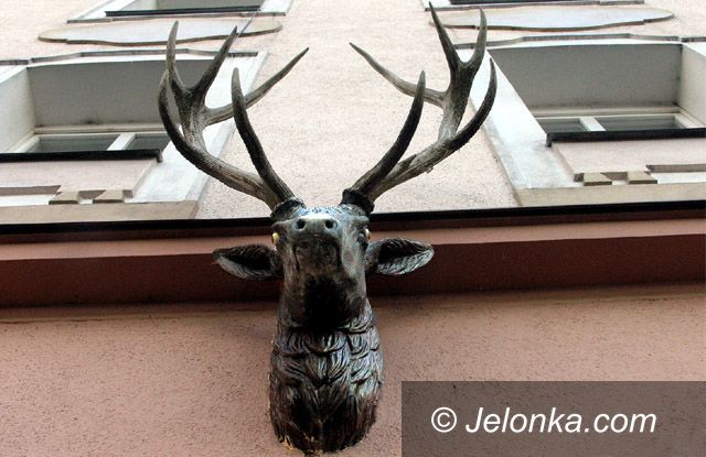 JELENIA GÓRA: Akcja „Jelonek” rozpoczęta