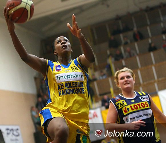 JELENIA GÓRA: Sensacja wisiała na włosku