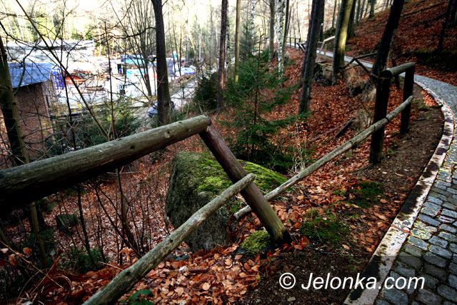 JELENIA GÓRA: Ścieżka przy Borowym Jarze – stan klęski
