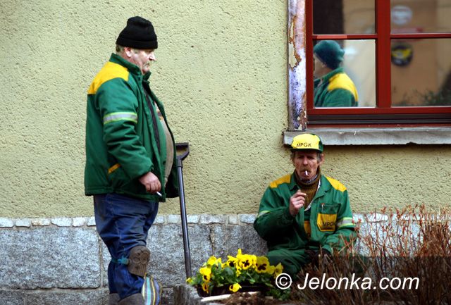 Jelenia Góra: Miasto w kwiatach prawie za milion złotych