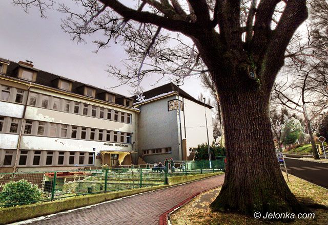 Dolny Śląsk: Uniwersytet w Jeleniej Górze?