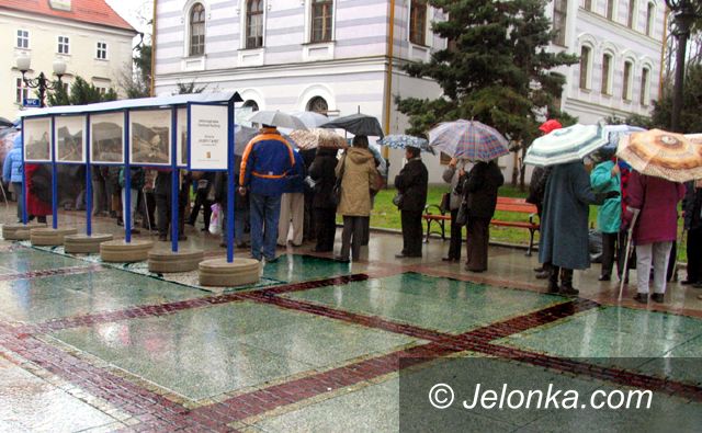 JELENIA GÓRA: Inwazja na zdrój – kuracja niemożliwa