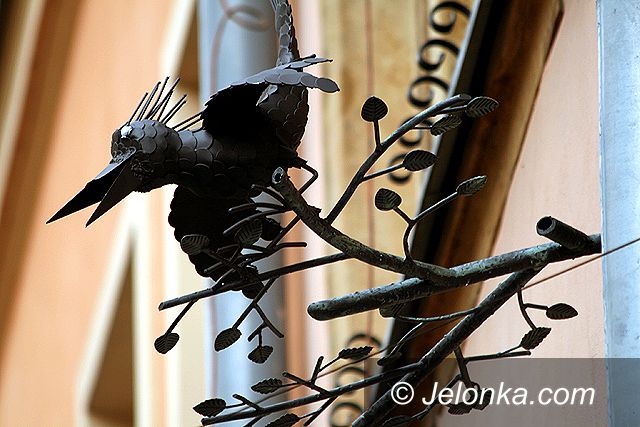 JELENIA GÓRA: Nie rozdziobią nas "ptasiory"
