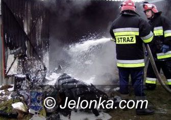 JELENIA GÓRA: Działkowi rozbójnicy w akcji