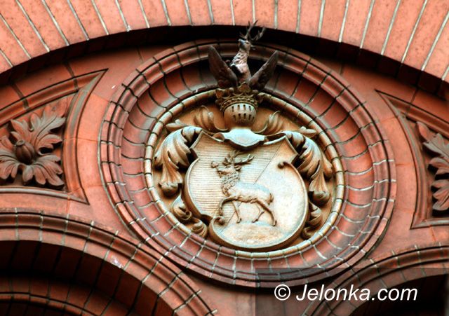 JELENIA GÓRA: Szukamy jelenia!