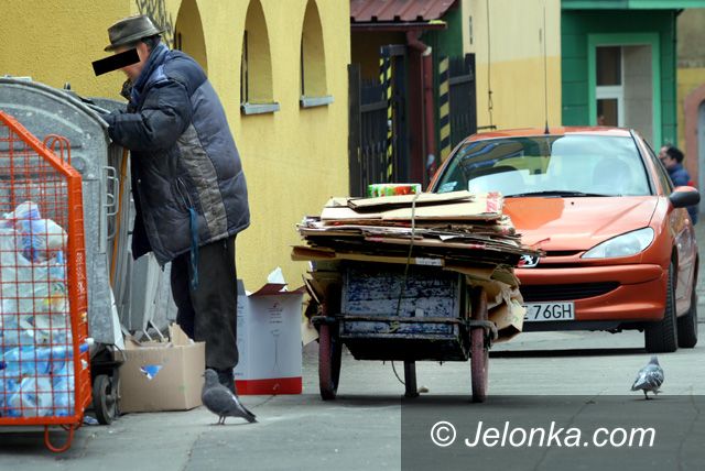 JELENIA GÓRA: Oddech szczura na placu Ratuszowym