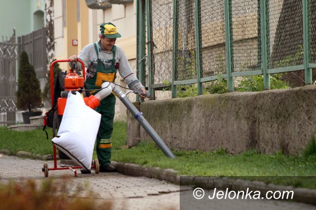 JELENIA GÓRA: Psie odchody do wessania