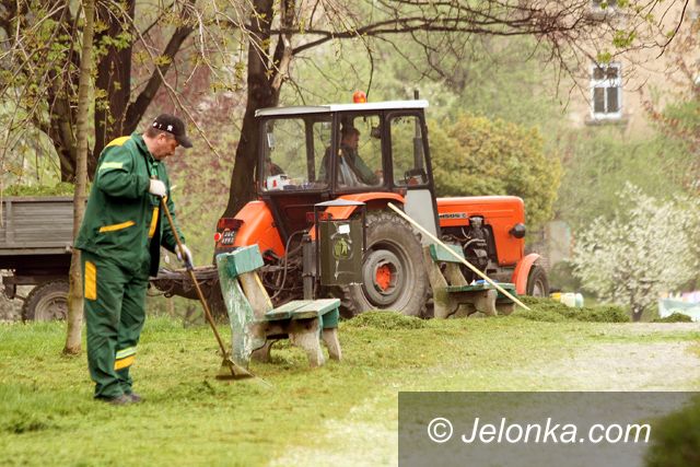 JELENIA GÓRA: Akcja trawa – ulga dla alergików