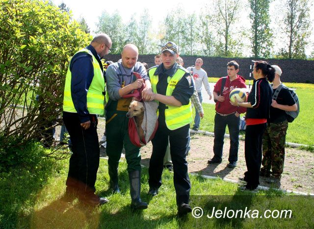 JELENIA GÓRA: Kto torturował psa?