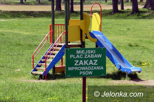 JELENIA GÓRA: Olewają skwerek przy Książęcej