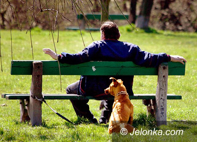 JELENIA GÓRA: Majówka na czterech łapach