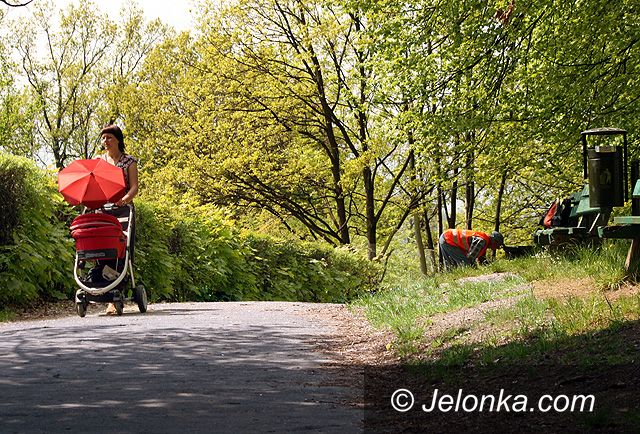 JELENIA GÓRA: Porządniej w parku na Wzgórzu Kościuszki