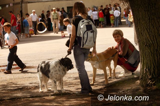 JELENIA GÓRA: Wielka majówka z&#8230; niedźwiedziami