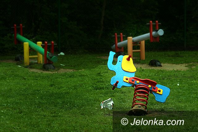 JELENIA GÓRA: Konik bujany skusił złodzieja