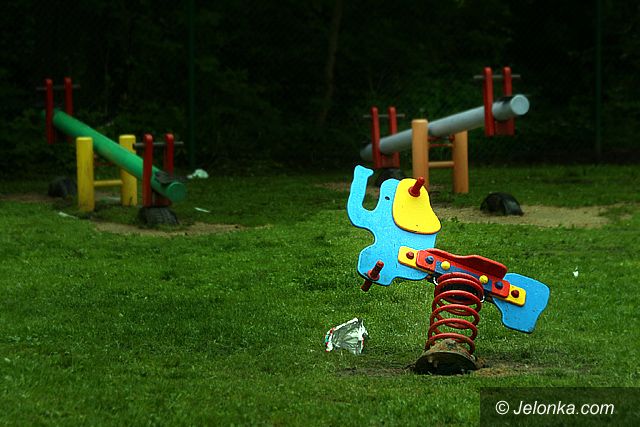 JELENIA GÓRA: Konik bujany skusił złodzieja