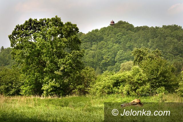 JELENIA GÓRA: Radni od rozwoju mówią "nie" Castoramie