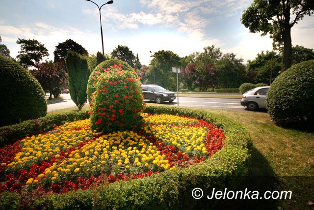 JELENIA GÓRA: Zemsta na kwiatkach po remisie w Wiedniu