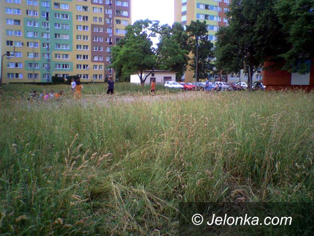 JELENIA GÓRA: Na Zabobrzu potrzebny kombajn
