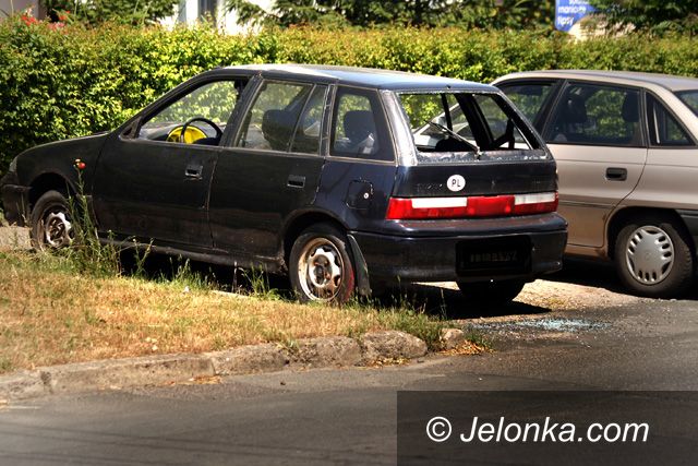 JELENIA GÓRA: Wyżywają się nie tylko na wrakach